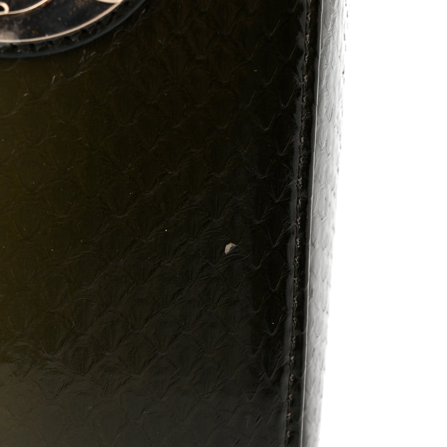 Snakeskin Medium Lady Dior Green