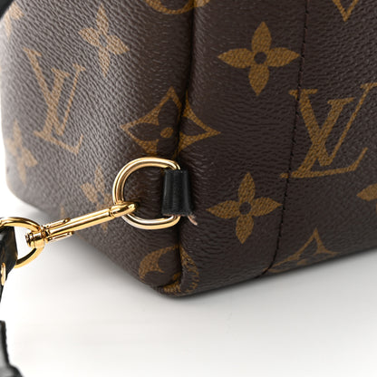 Louis Vuitton Monogram Palm Springs Backpack Mini 15 of 16