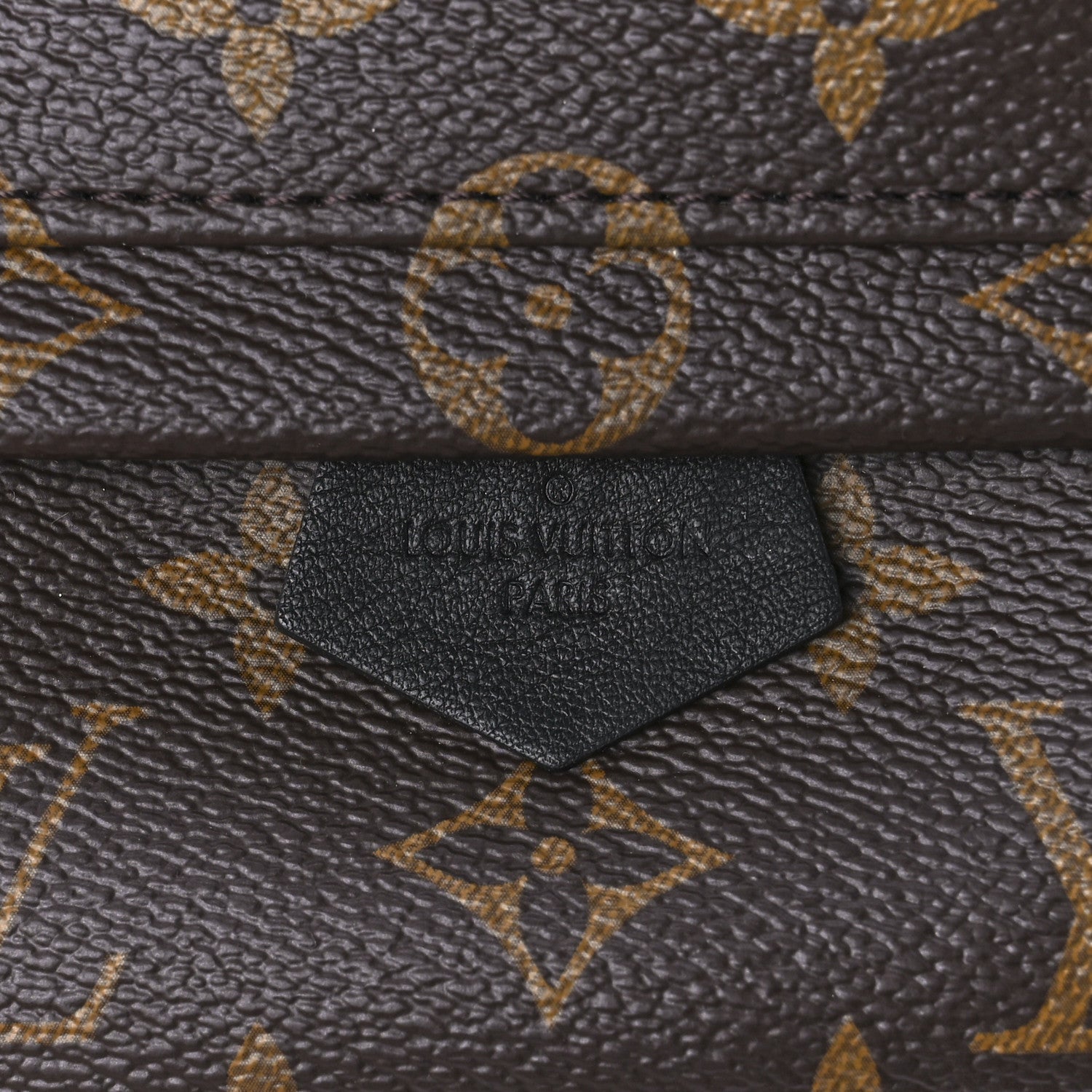 Louis Vuitton Monogram Palm Springs Backpack Mini 8 of 10