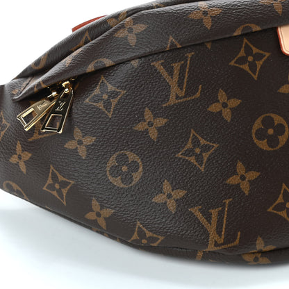 Louis Vuitton Monogram Bumbag 8 of 9