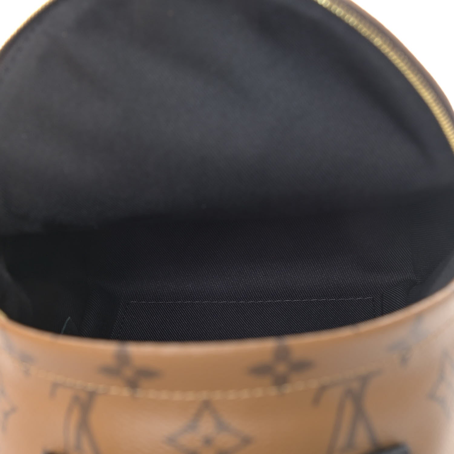 Louis Vuitton Reverse Monogram Palm Springs Backpack Mini 4 of 4