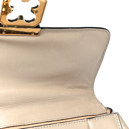 Chloe Goatskin Medium Elsie Shoulder Bag Dove 17 of 26