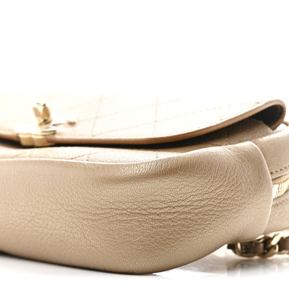Chanel Metallic Calfskin Quilted Waist Bag Gold 9 of 9