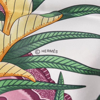 Hermes Silk La Marche Du Zambeze Scarf 90 3 of 3