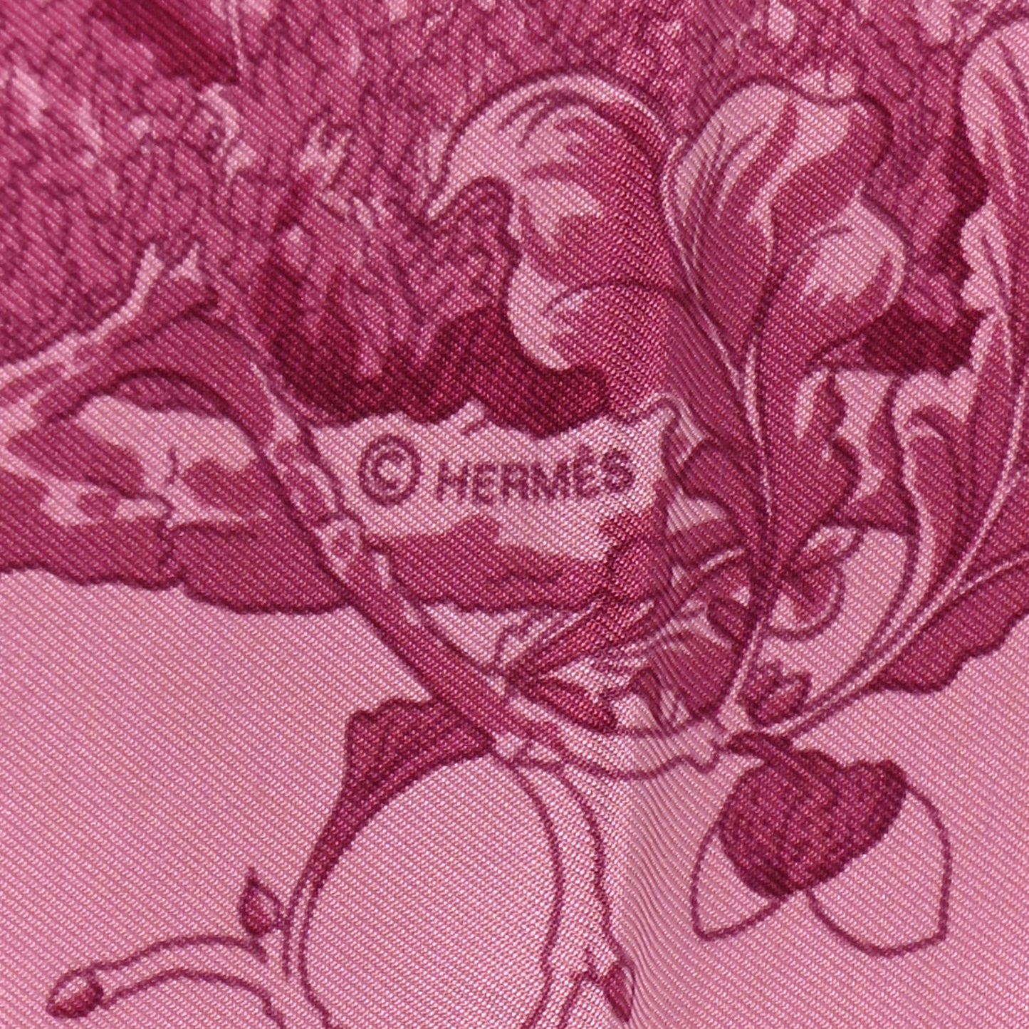 Silk Jardins Des Metamorphoses Scarf Pink