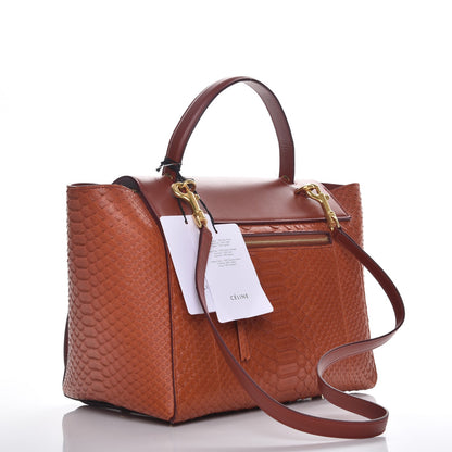 Celine Python Mini Belt Bag Red Ochre 4 of 8