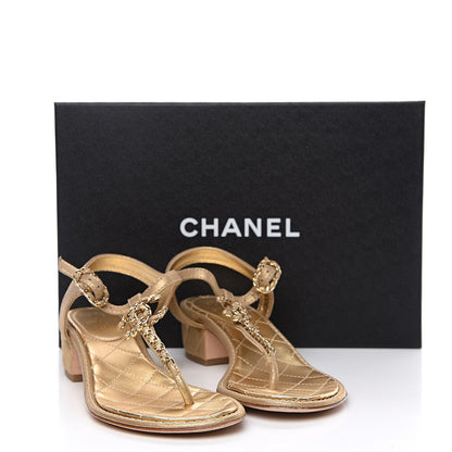 Chanel Metallic Lambskin Chain CC Logo Thong Sandals 37.5 Gold 9 of 9