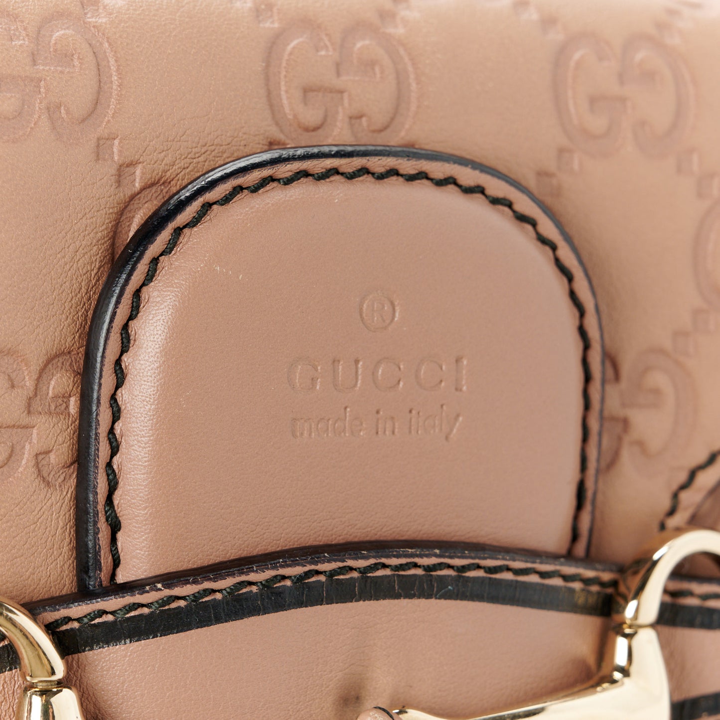 Guccissima Small Emily Chain Shoulder Bag Camelia