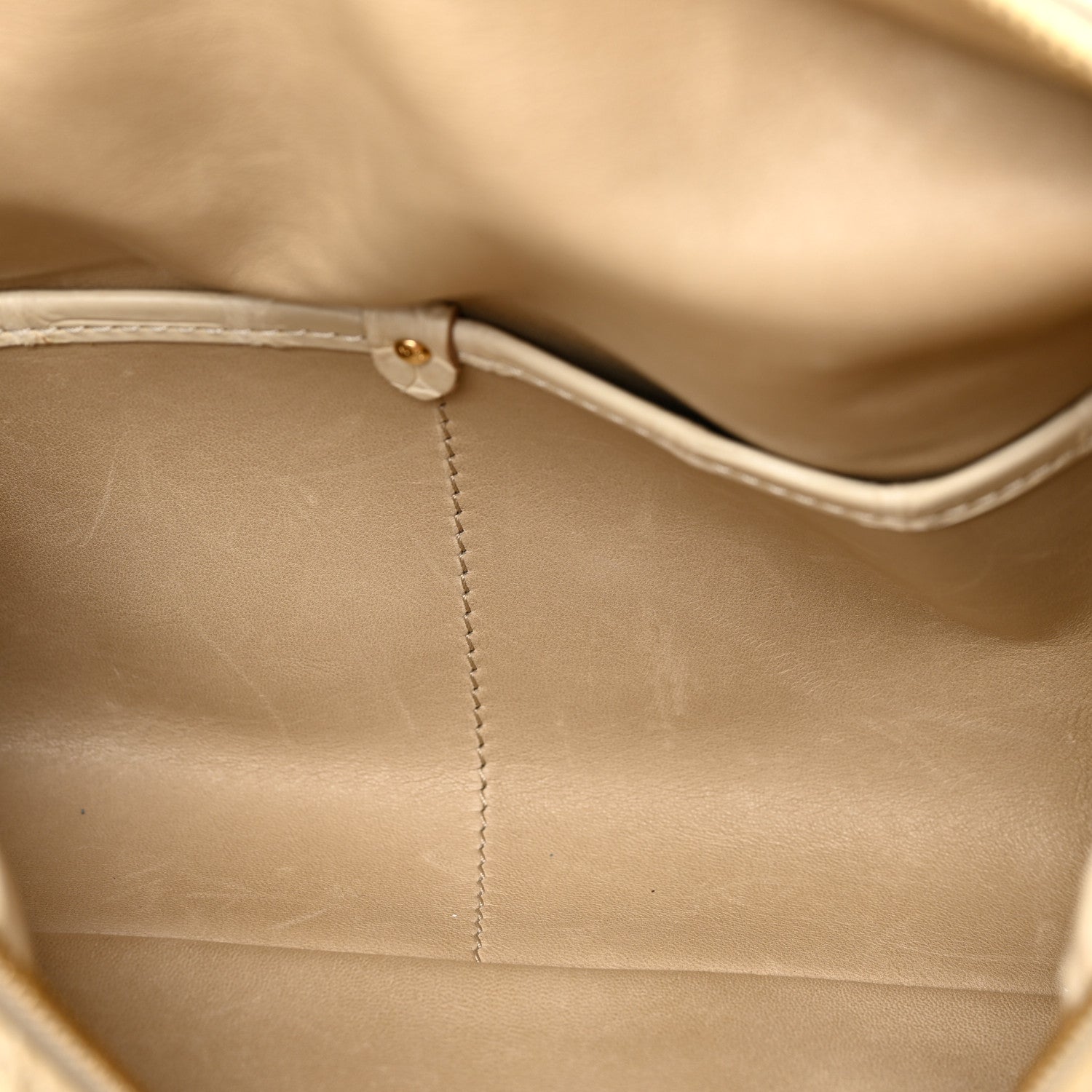 Louis Vuitton Crocodile Sac Louis Beige 16 of 21