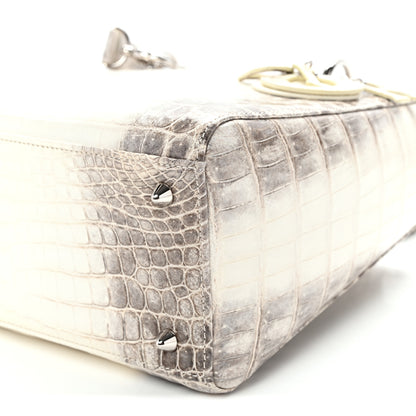 Christian Dior Niloticus Crocodile Himalaya Medium Lady Dior Latte 10 of 10