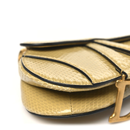 Christian Dior Snakeskin Mini Saddle Bag Green 8 of 10