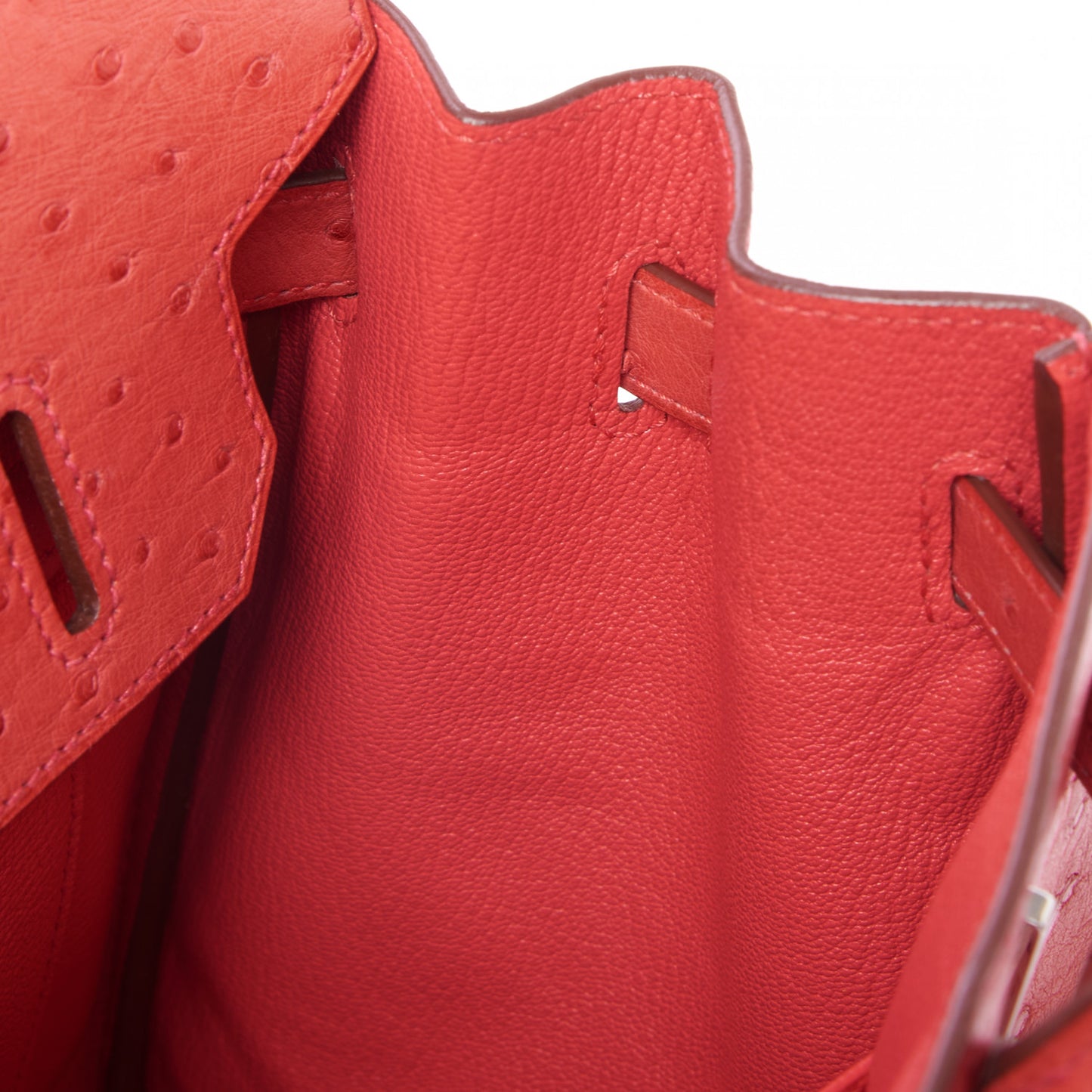 Ostrich Birkin 30 Bougainvillea