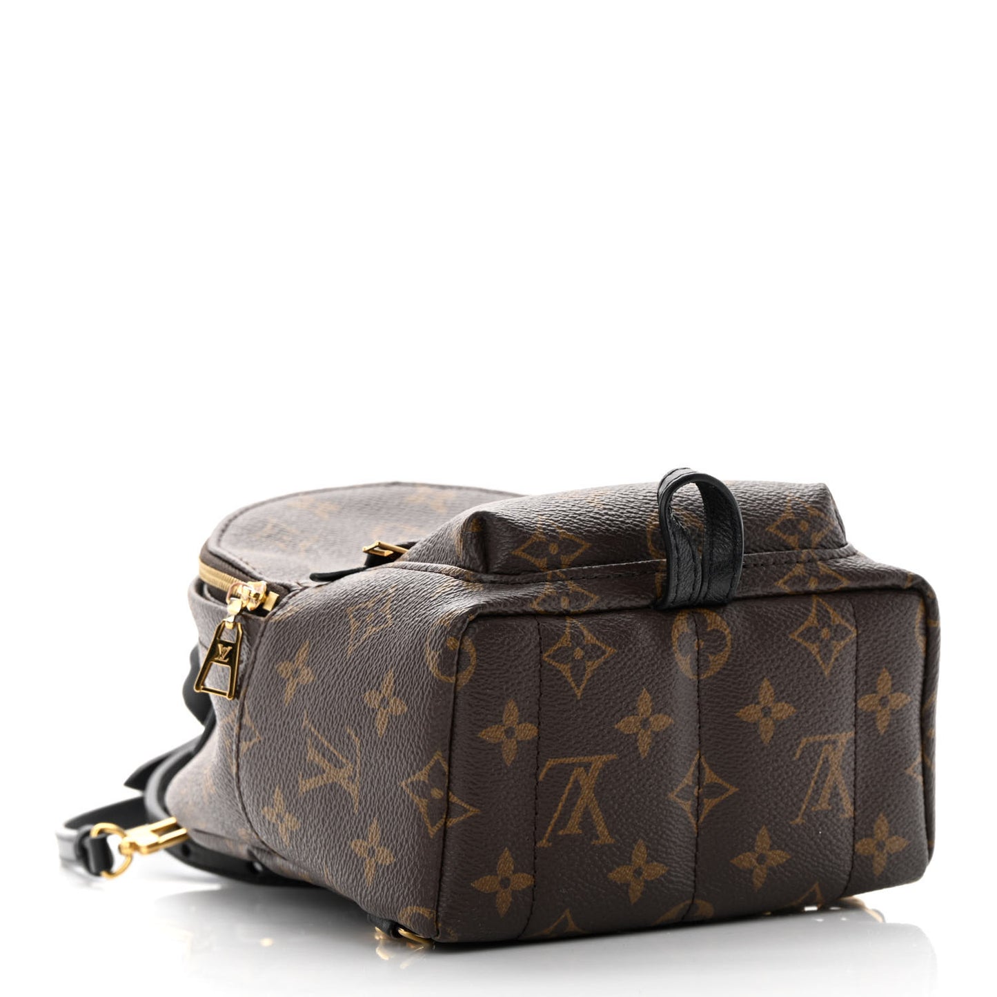 Monogram Palm Springs Backpack Mini