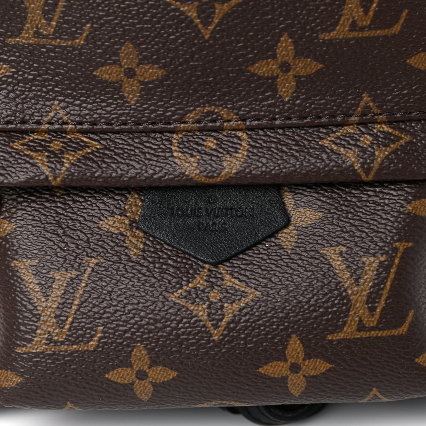 Monogram Palm Springs Backpack Mini