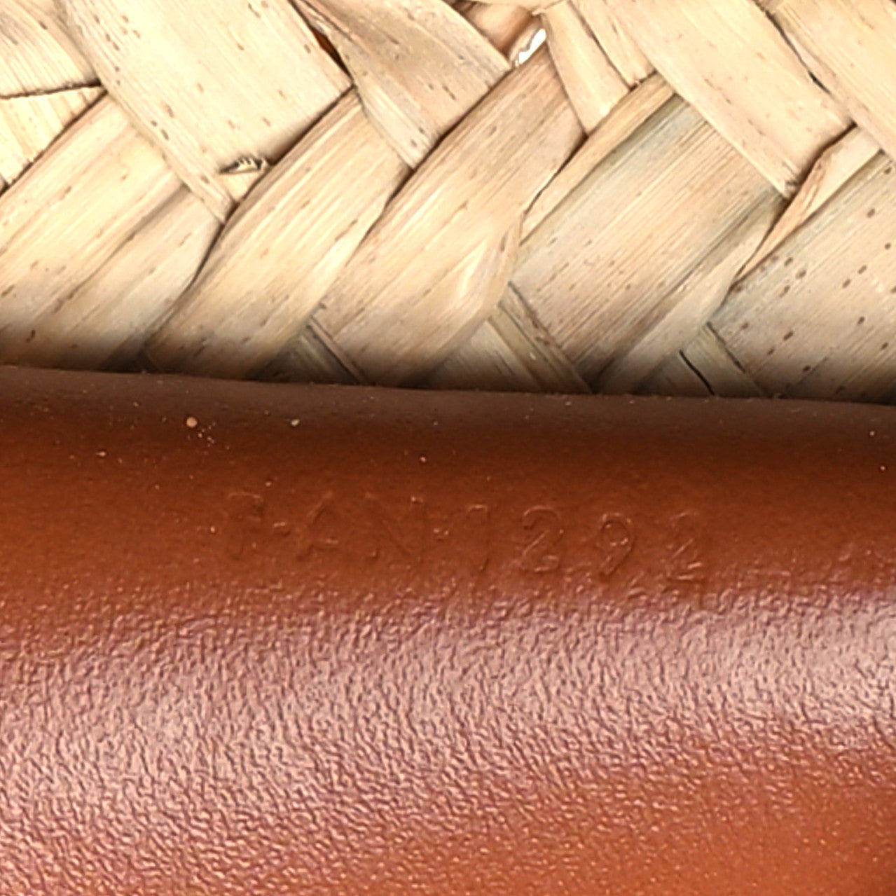 Palm Leaves Calfskin Classic Triomphe Nano Panier Tan