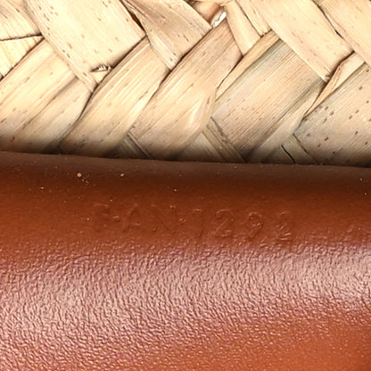 Celine Palm Leaves Calfskin Classic Triomphe Nano Panier Tan 7 of 10