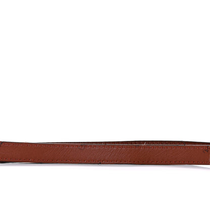 Loewe Calfskin Mini Gate Belt Bag Brick 12 of 16