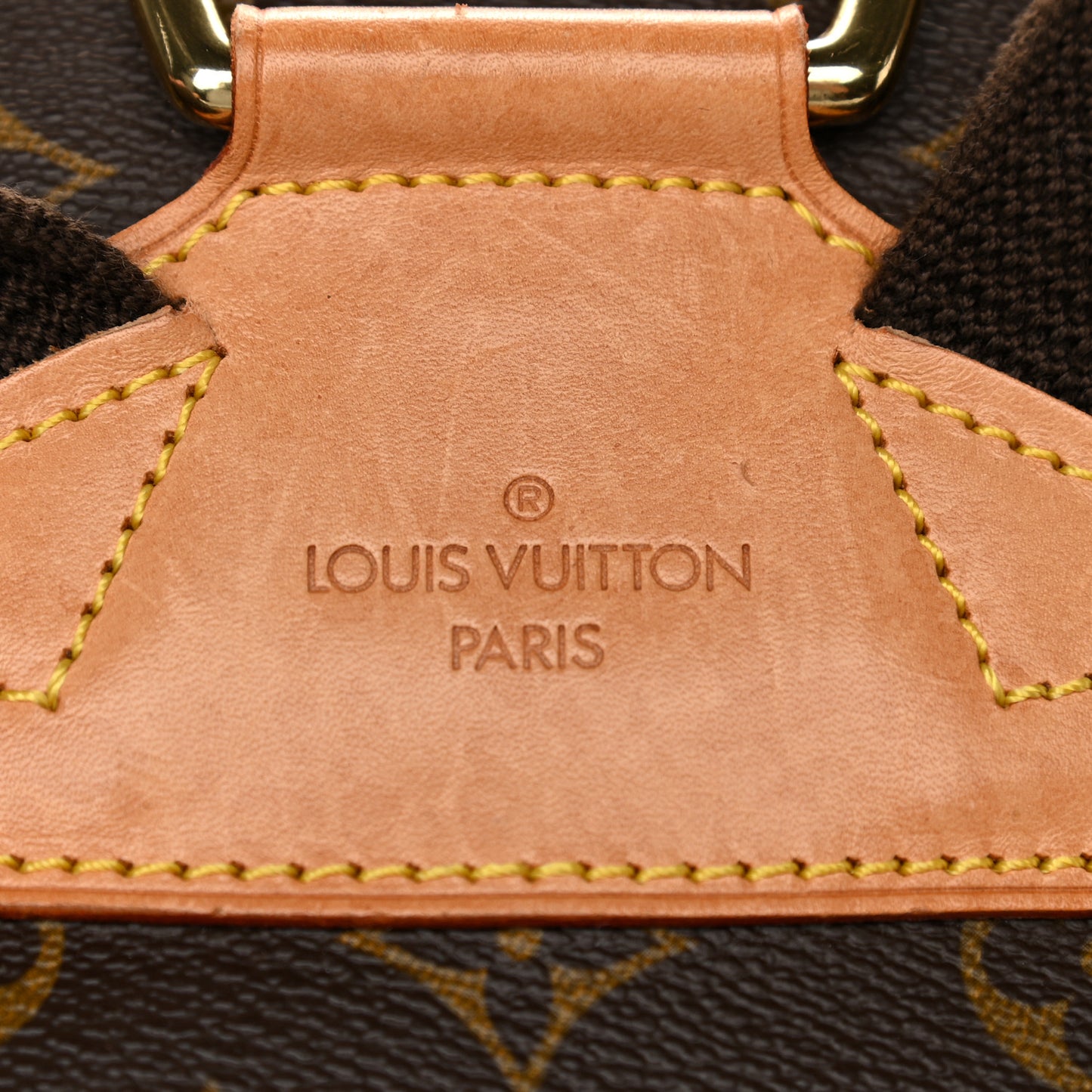 Monogram Montsouris GM Backpack