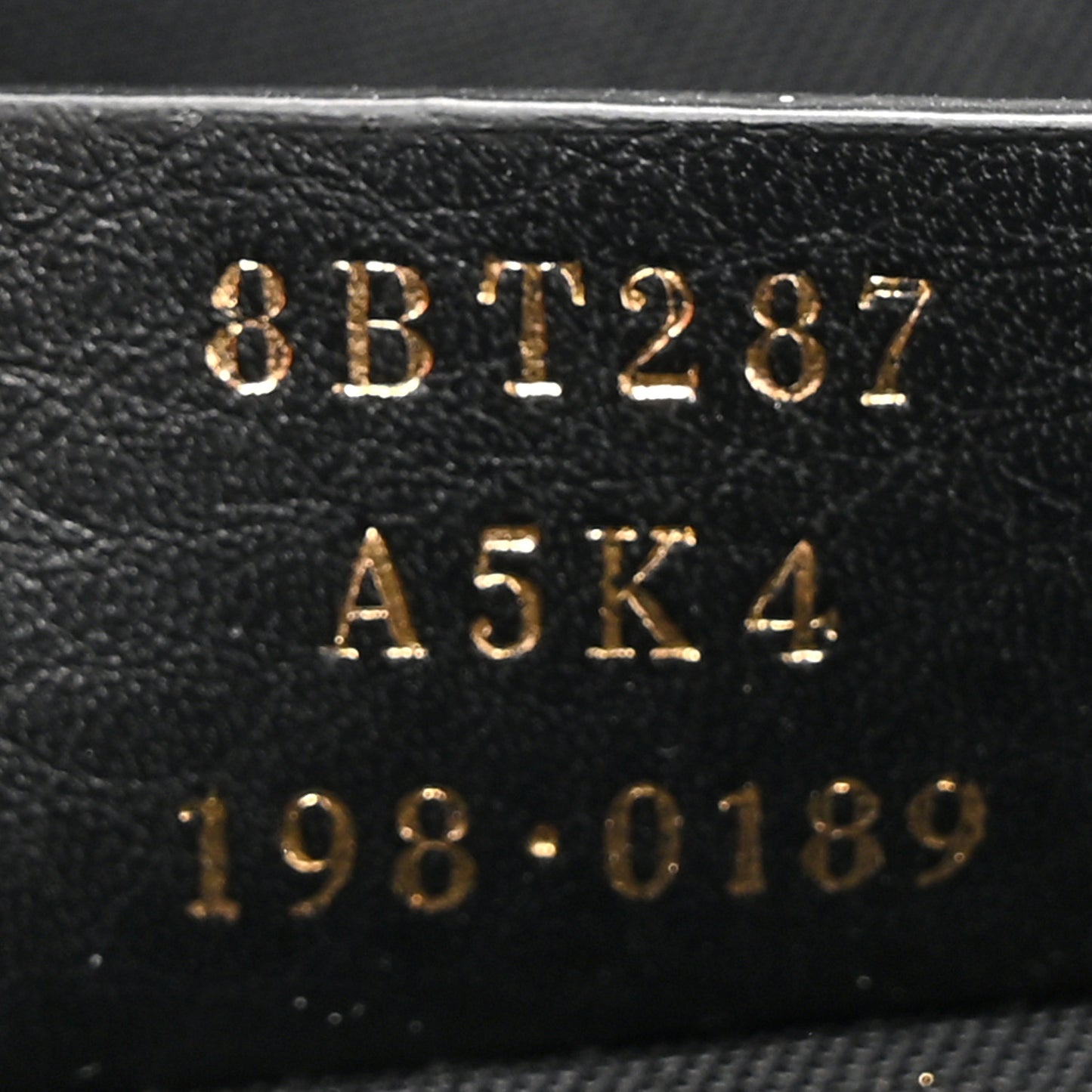 Glazed Fabric Vitello Century F is Fendi FF 1974 Stamp Patch Camera Case Mogano Panna Black