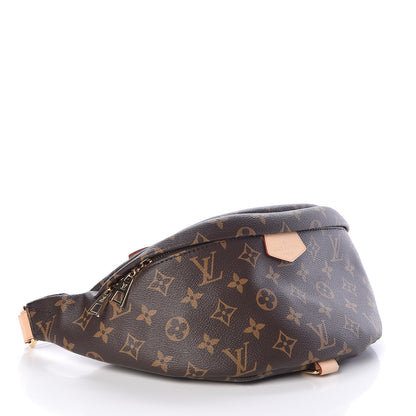 Louis Vuitton Monogram Bumbag 4 of 9
