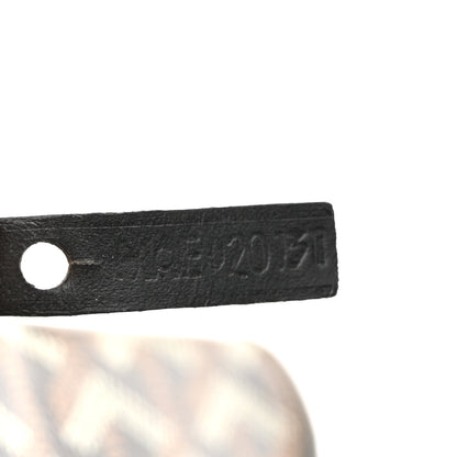 Goyard Goyardine Saint Louis PM Black 8 of 14