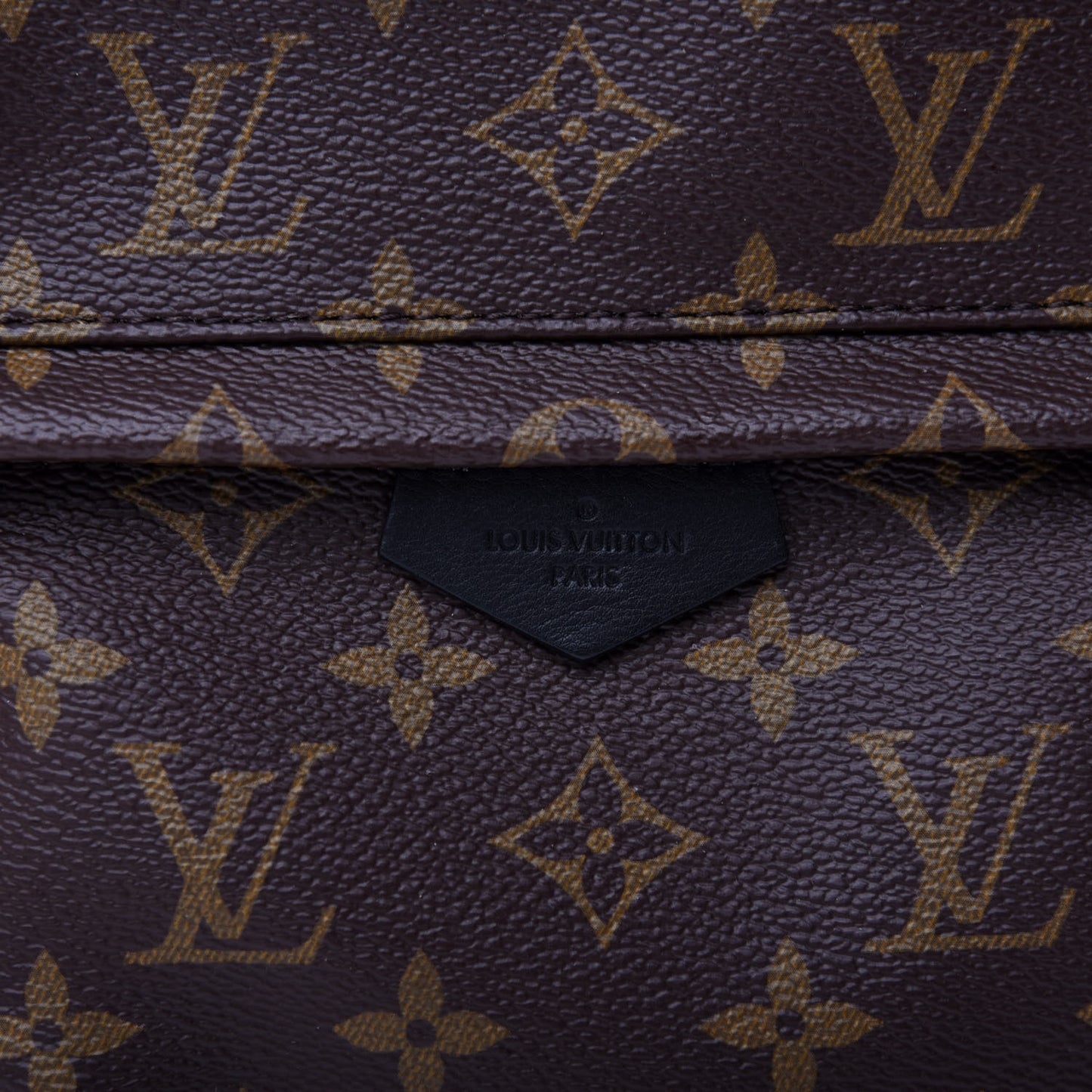 Monogram Palm Springs Backpack PM