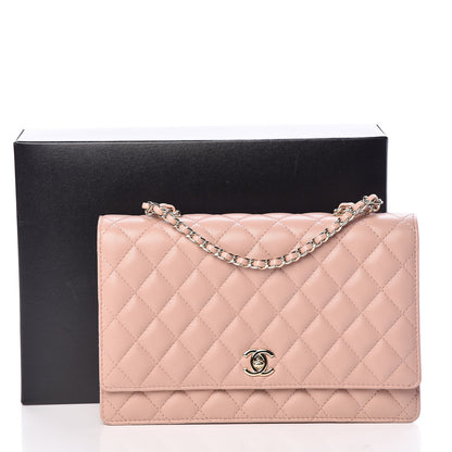 Chanel Lambskin Quilted Fantasy Pearl Flap Nude 10 of 10
