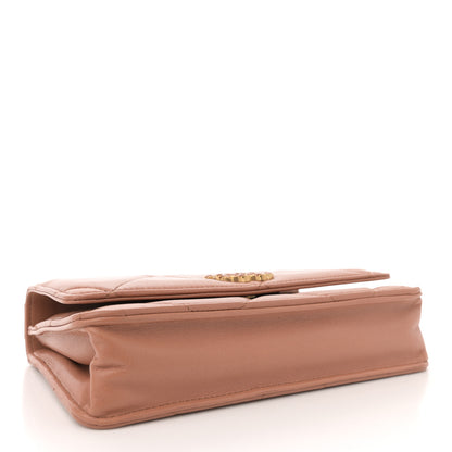 Chanel Lambskin Quilted Chanel 19 Wallet On Chain WOC Brown 4 of 12