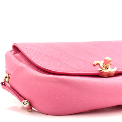 Chanel Goatksin Quilted Casual Trip Waist Bag Pink 9 of 11