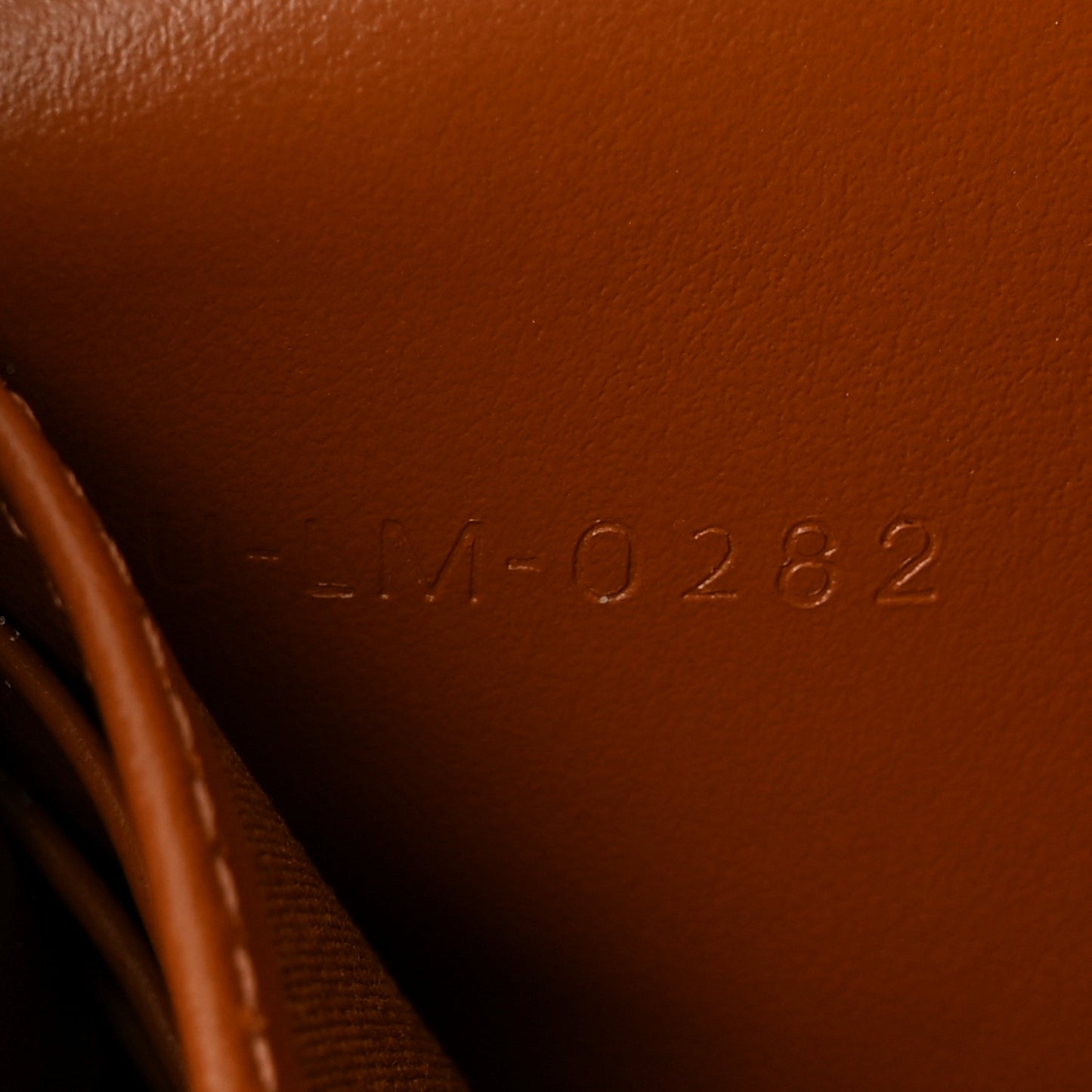 Triomphe Canvas Lambskin Wallet On Strap Tan
