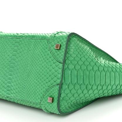 Celine Snakeskin Mini Luggage Green 10 of 12