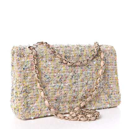 Chanel Tweed Garden Party 2.55 Reissue 225 Flap Multicolor 3 of 9