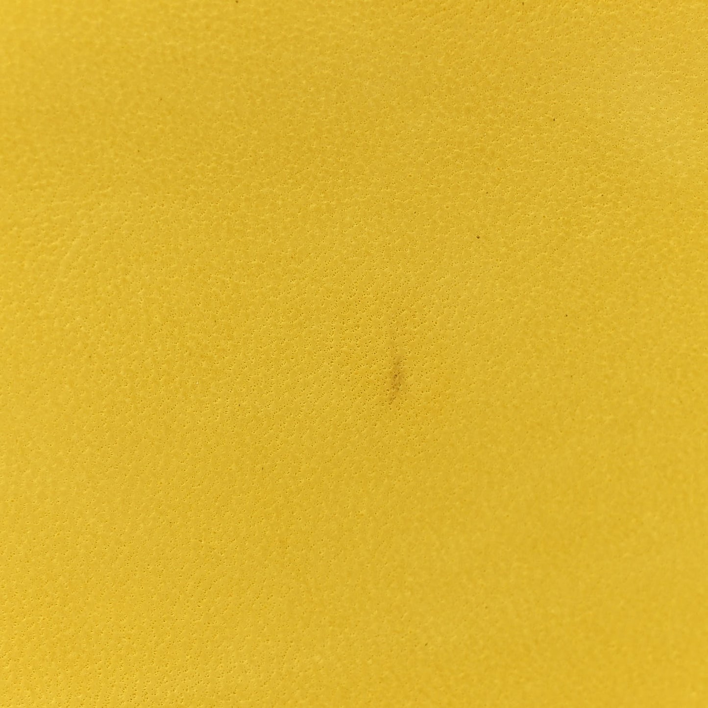 Alligator Medium Double Flap Yellow