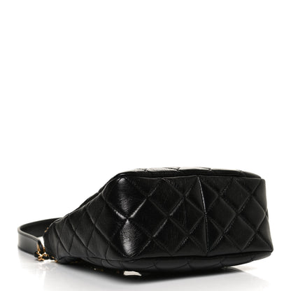 Chanel Lambskin Quilted Hobo Black 4 of 12