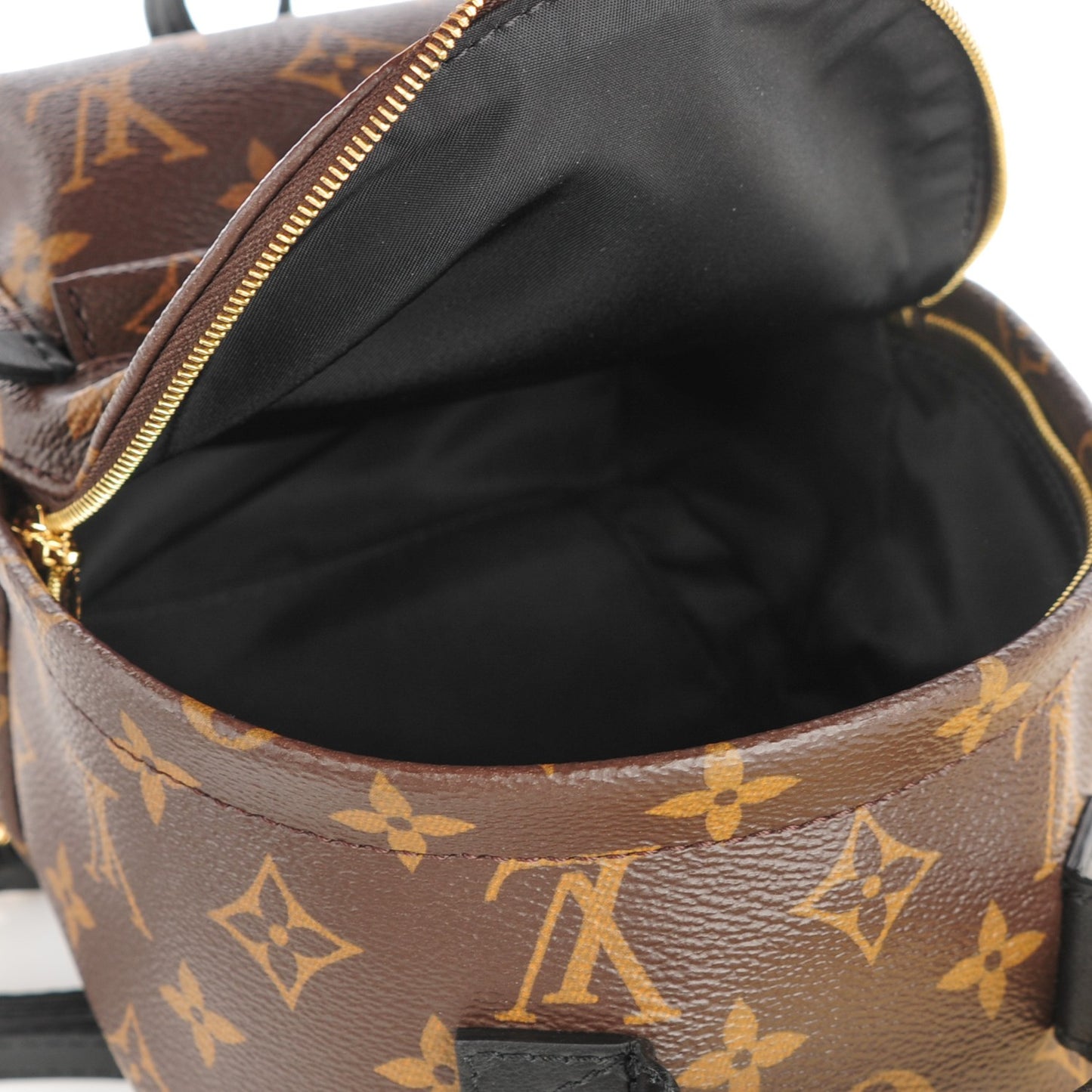 Monogram Palm Springs Backpack Mini