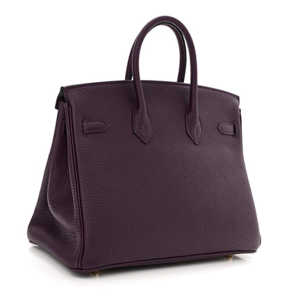Hermes Togo Birkin 25 Cassis 3 of 11
