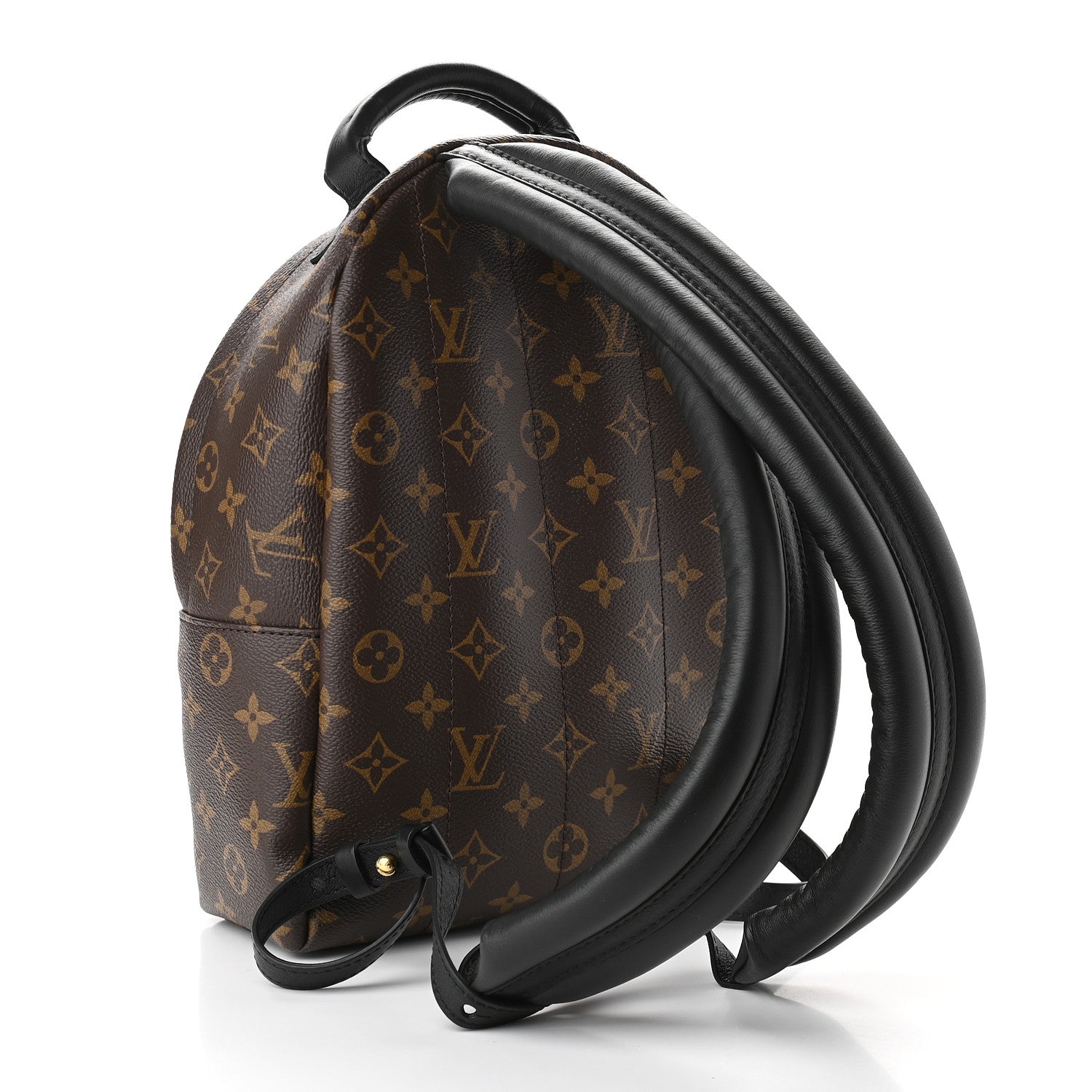 Louis Vuitton Monogram Palm Springs Backpack PM 3 of 9