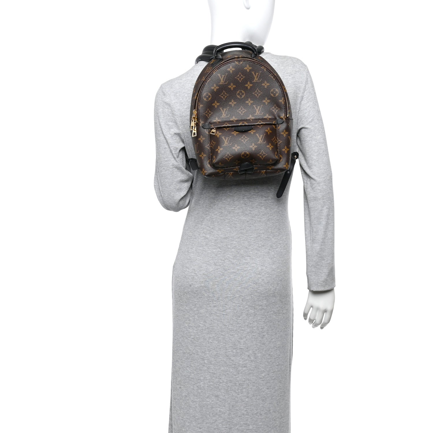 Louis Vuitton Monogram Palm Springs Backpack PM 2 of 10