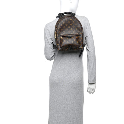 Louis Vuitton Monogram Palm Springs Backpack PM 2 of 10