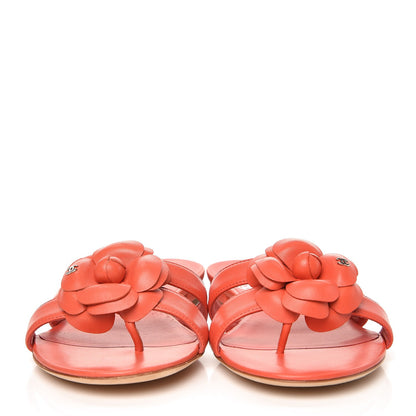 Chanel Lambskin Camellia Sandals 36 Orange 2 of 8