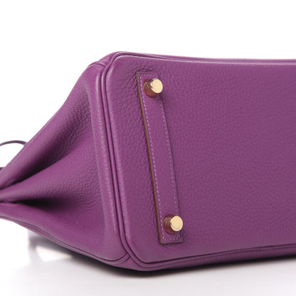 Hermes Togo Birkin 25 Anemone 6 of 11