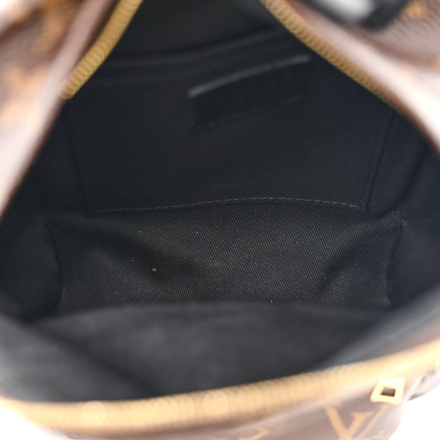 Monogram Palm Springs Backpack Mini