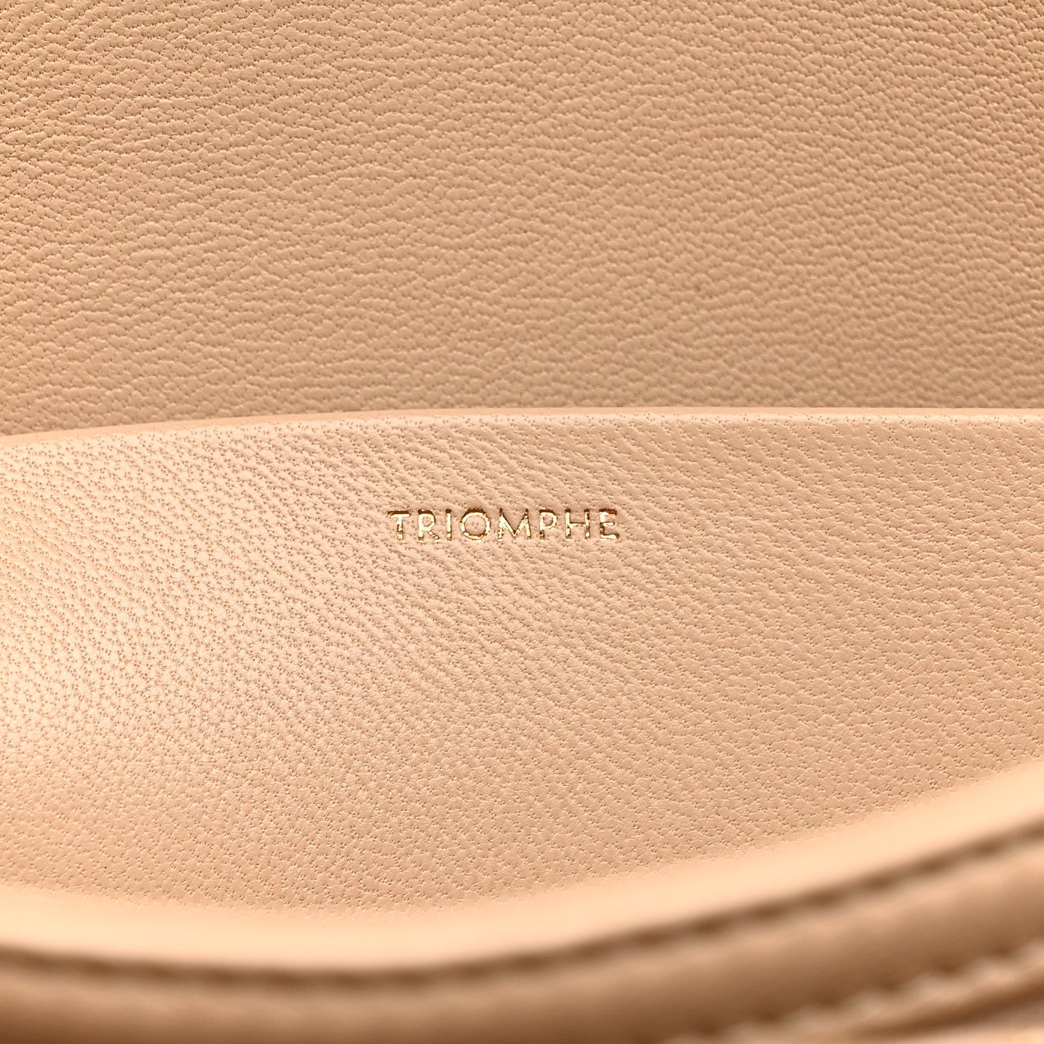Celine Shiny Calfskin Medium Triomphe Nude 7 of 16