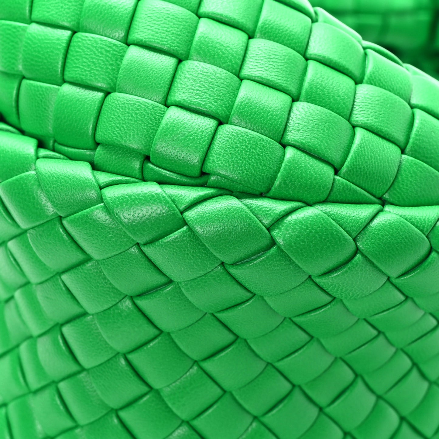 Rubber Intreccio Padded Mini Jodie Parakeet