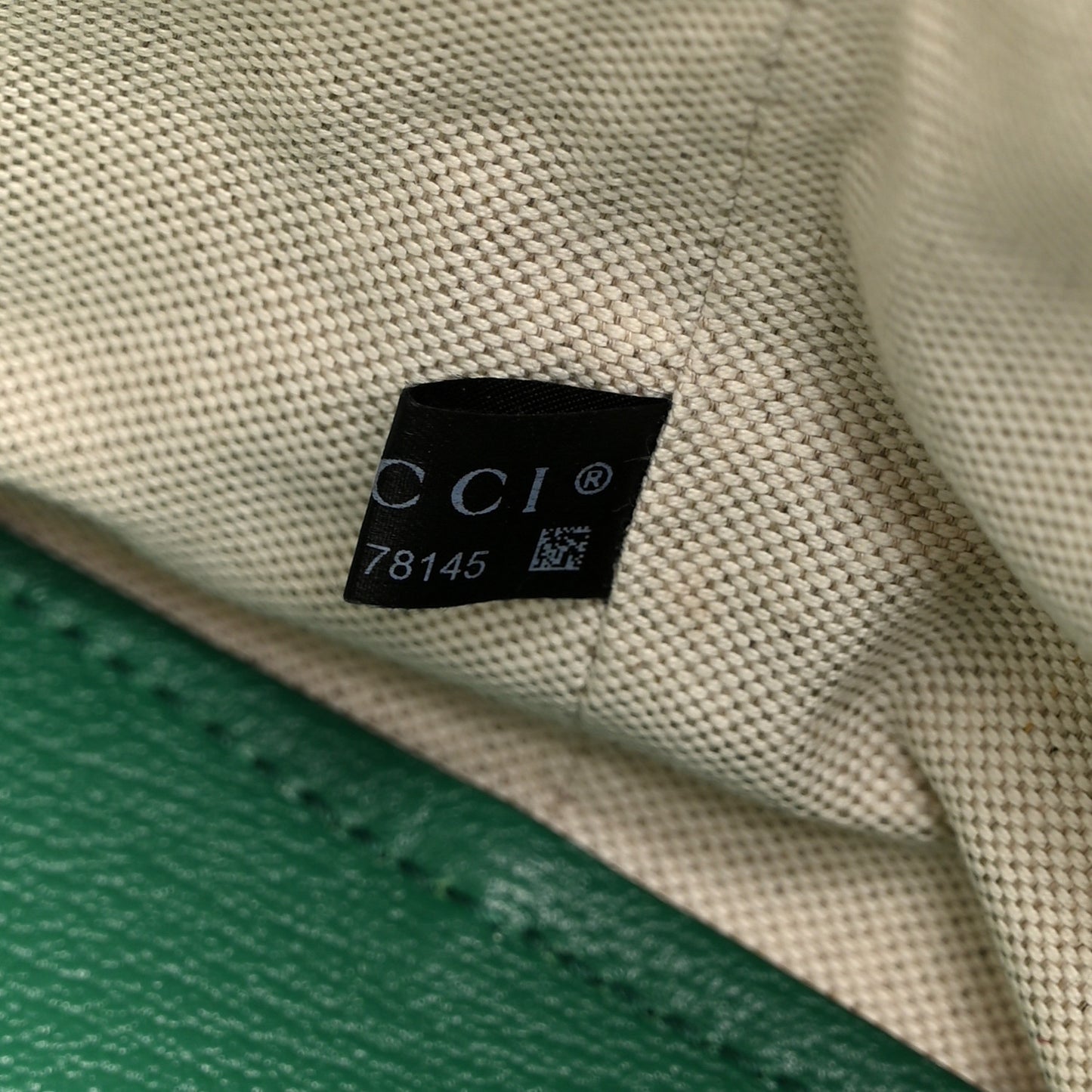 Textured Dollar Calfskin Medium Ophidia Shoulder Tote Bag Green
