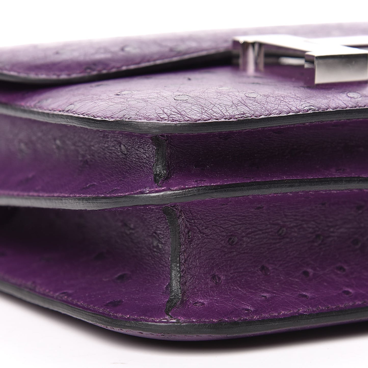 Ostrich Constance 18 Violine