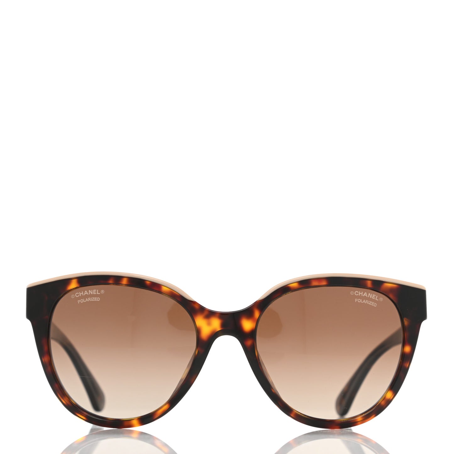 Acetate Polarized CC Butterfly Sunglasses 5414 Tortoise
