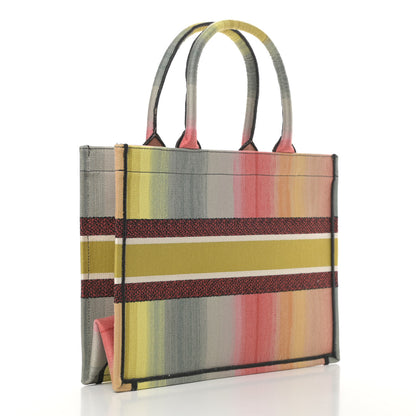 Christian Dior Canvas Embroidered Medium Dioraura Book Tote Multicolor 3 of 11