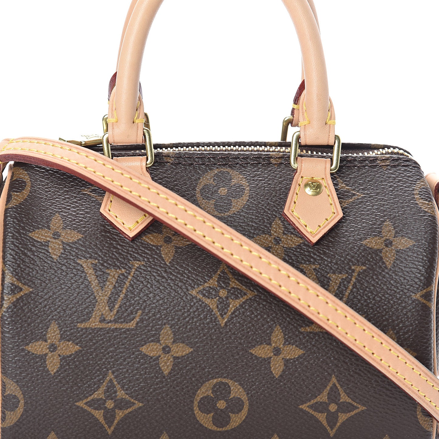Monogram Nano Speedy