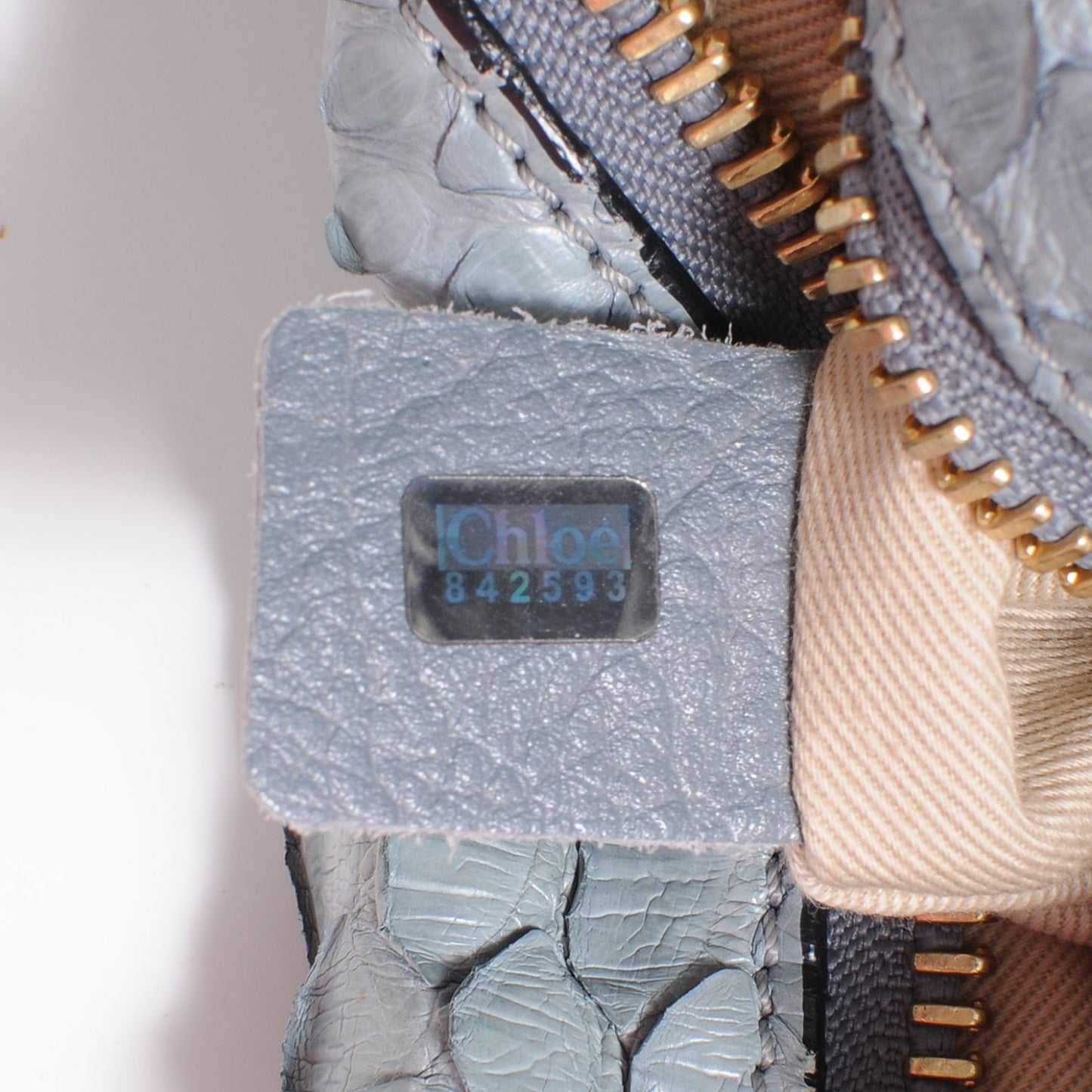 Python Medium Paraty Light Blue